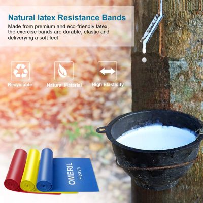 Natural Latex Resistance Bands Set